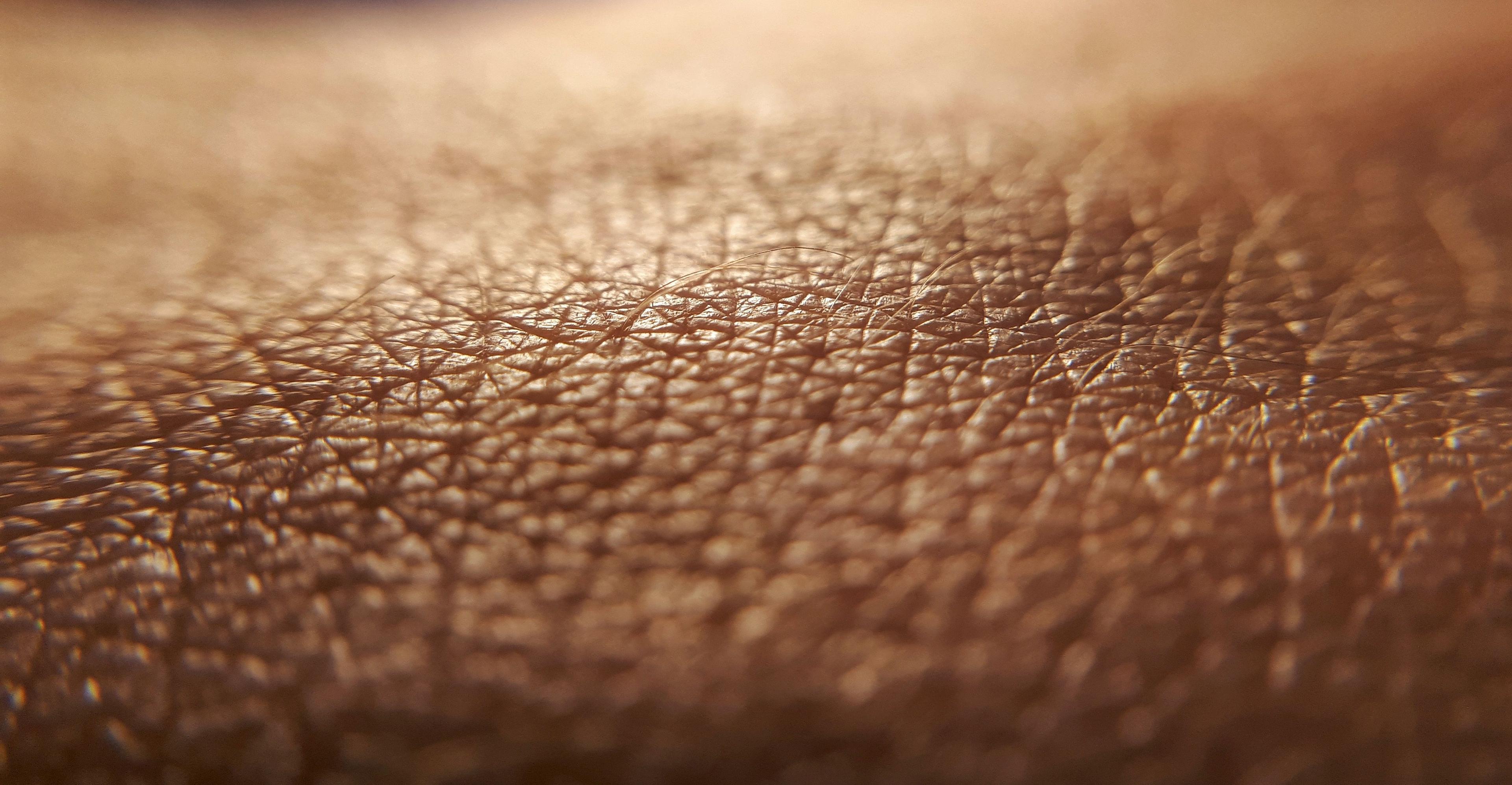 Close up of skin | Image Credit: © daily_creativity - stock.adobe.com