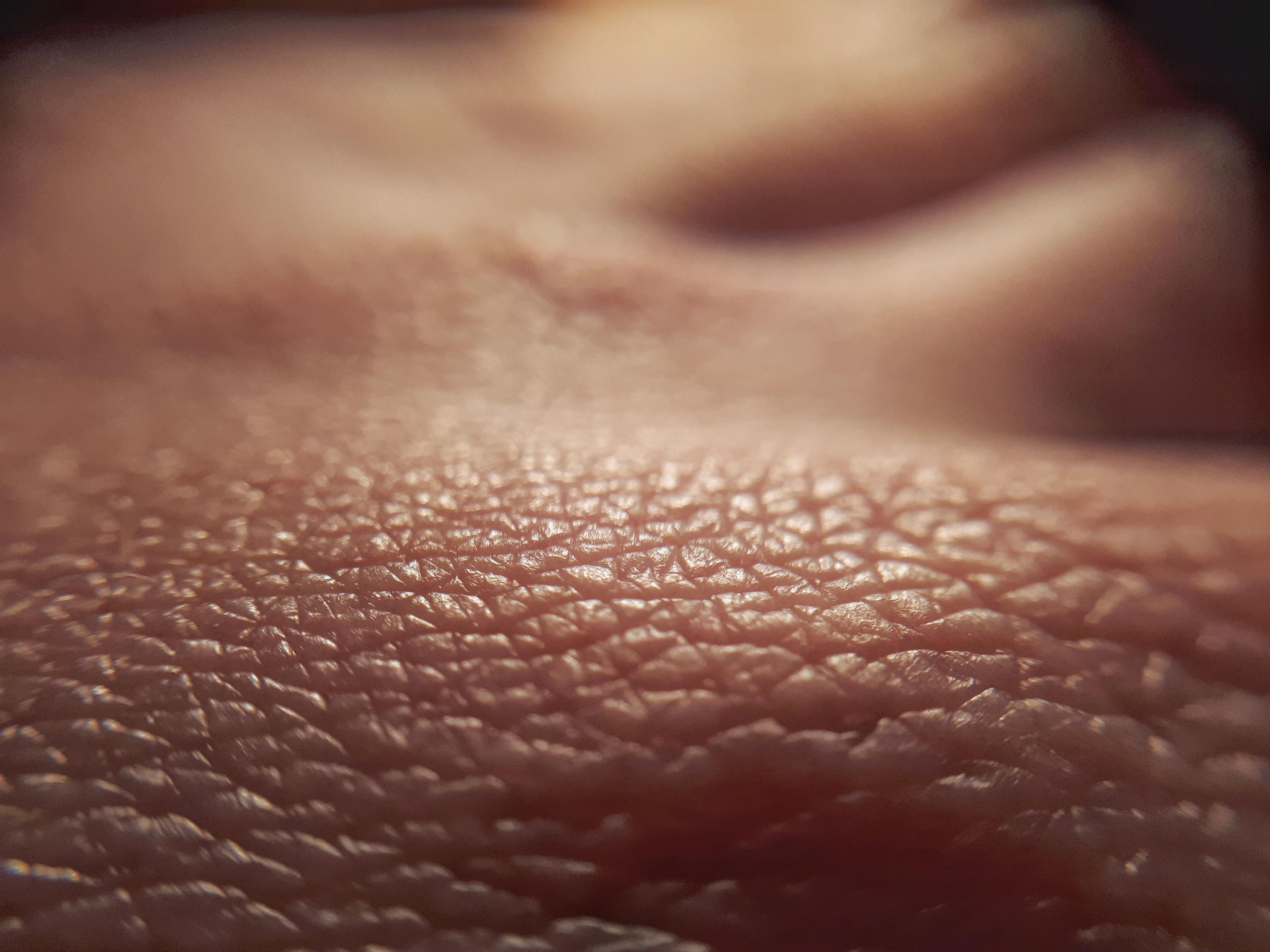 Close-up of skin | Image Credit: © daily_creativity