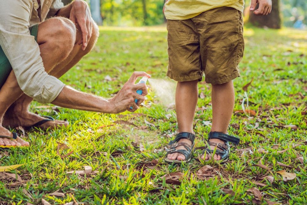 Bug off! Chase away pests with these repellants