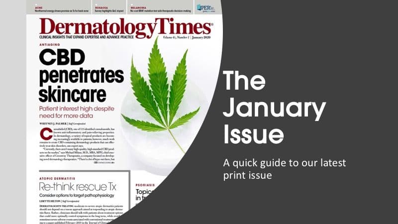 A quick guide to the January issue