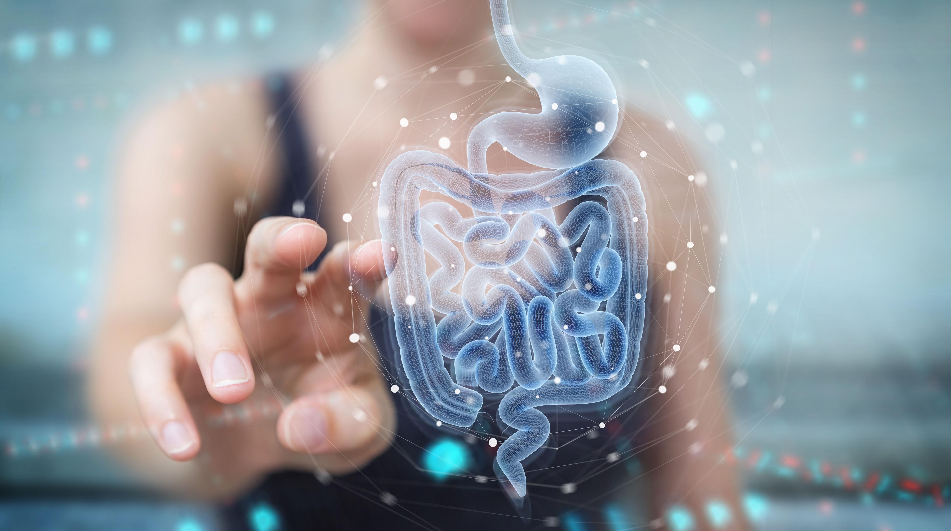 Young girl interacting with artificial/graphic of intestines