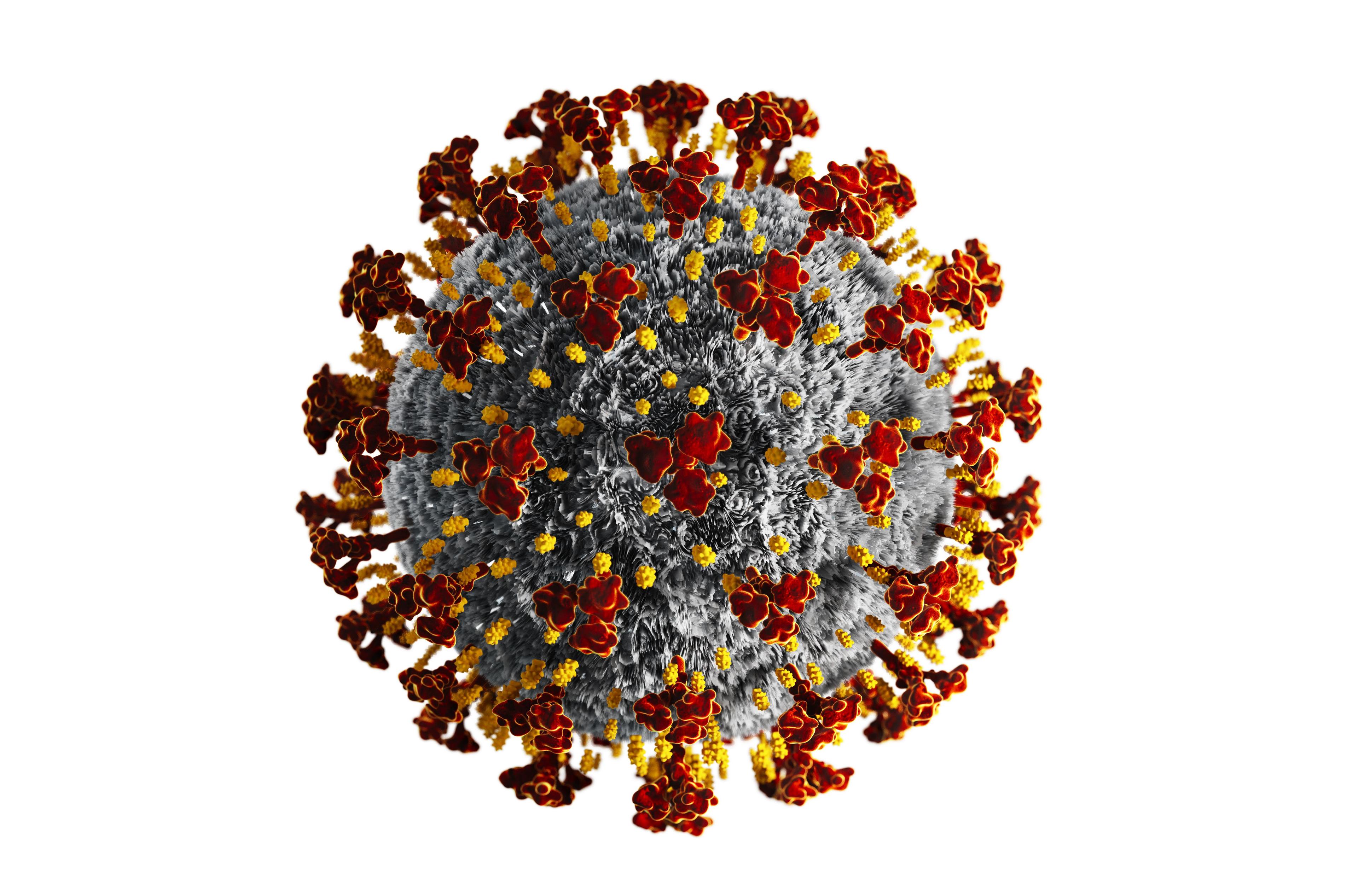 Coronavirus